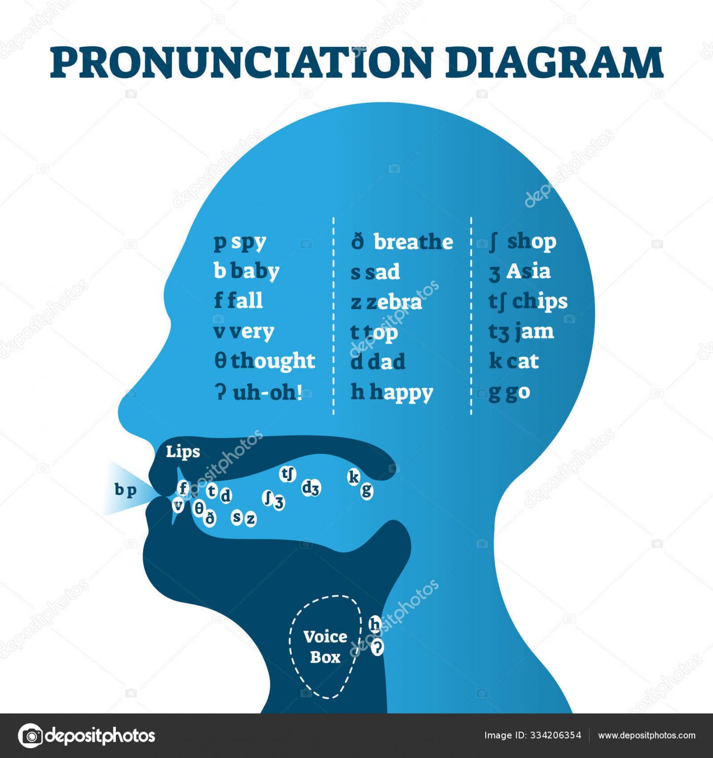 pronunciation-diagram-chart-with-letters-and-corresponding-sounds